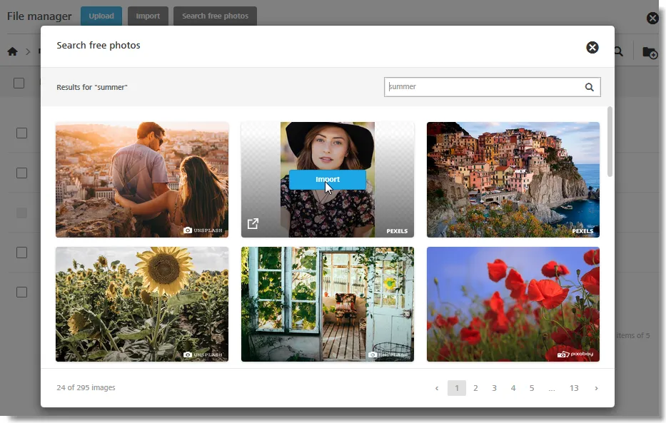 Screenshot: searching and editing images in the editor