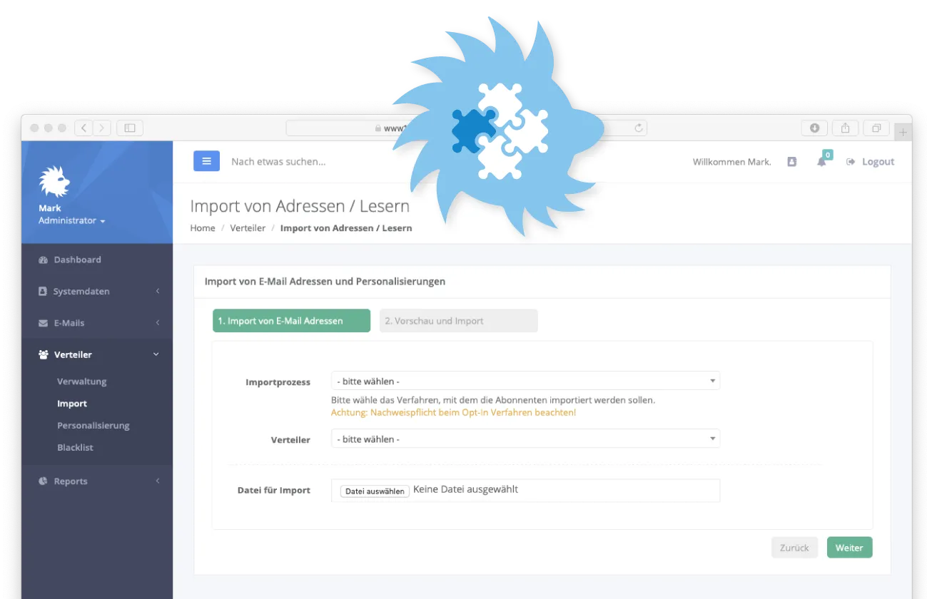 Screenshot: settings for integration via interfaces